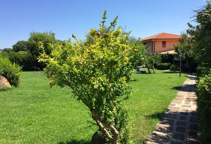 Bild 15