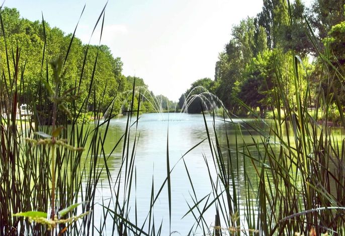 Bild 20