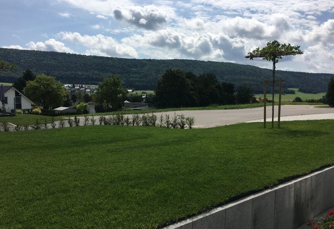 Bild 12