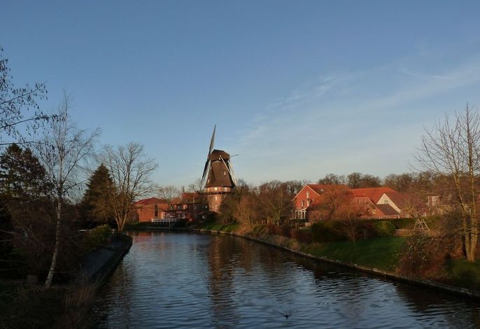 Bild 7