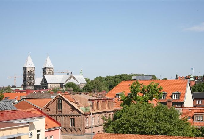 Bild 50