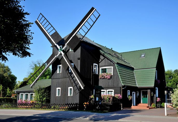 Bild 39