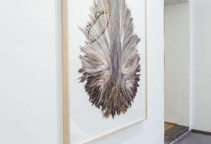 Bild 51