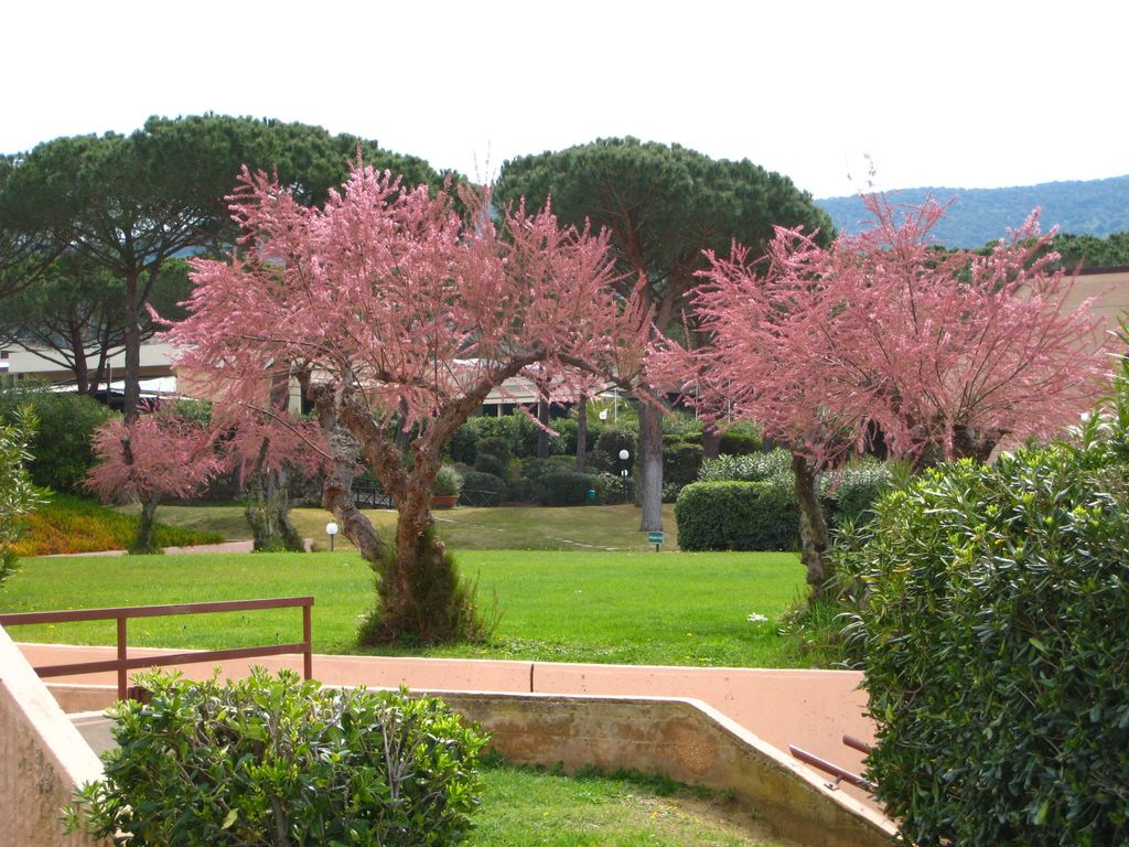 Scoglietto 50 Residence