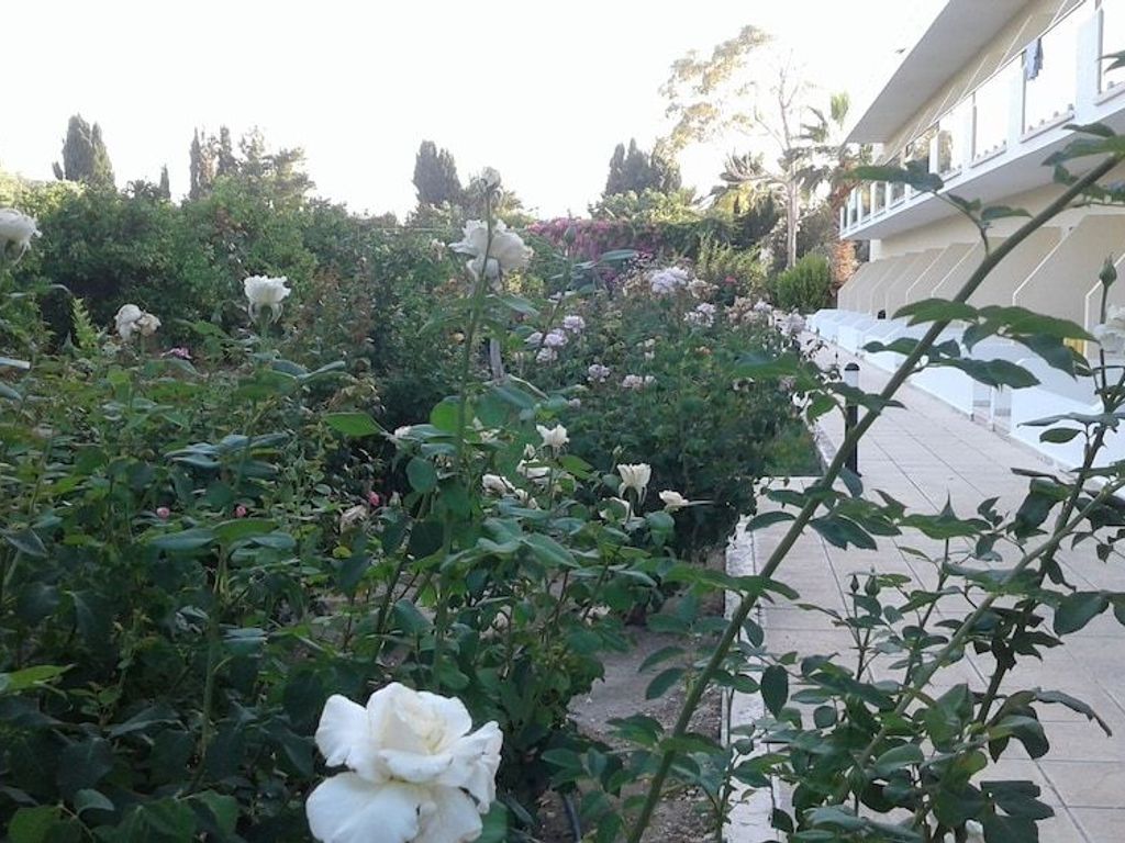 Natura Beach Hotel and Villas