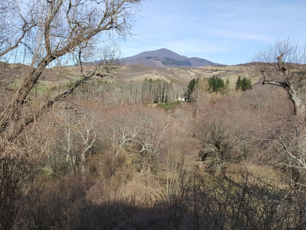 Agriturismo I Rondinelli