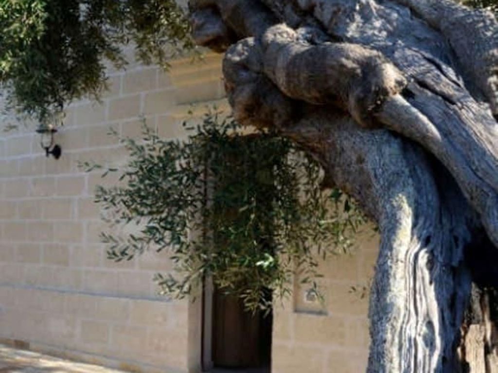 Agriturismo Masseria San Leonardo
