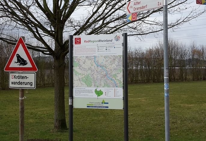 Bild 15