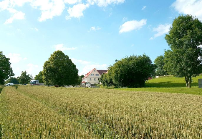 Bild 12