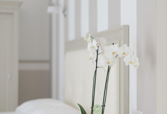 Gruppo Luxe Domus