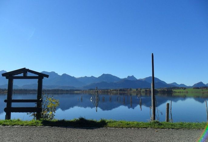 Bild 64