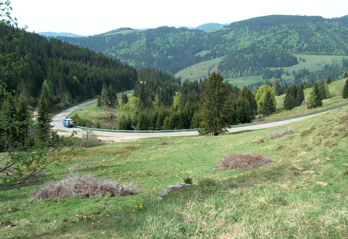 Bild 18