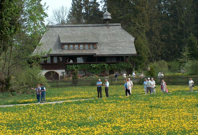 Bild 15