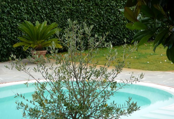 Bild 9