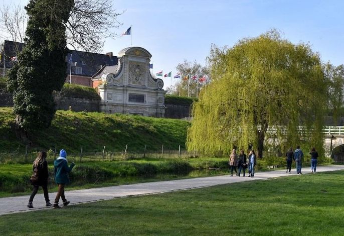 Bild 15