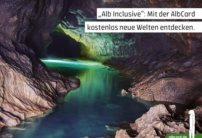 Bild 19