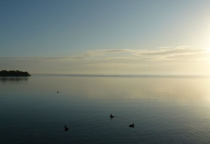 Bild 28