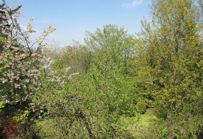 Bild 19
