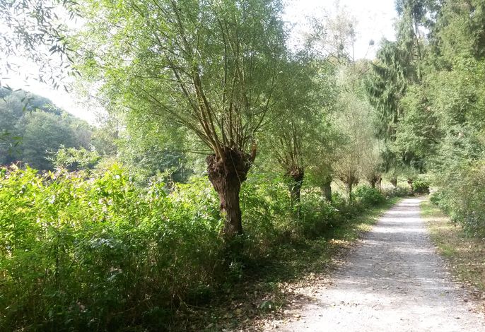 Bild 18