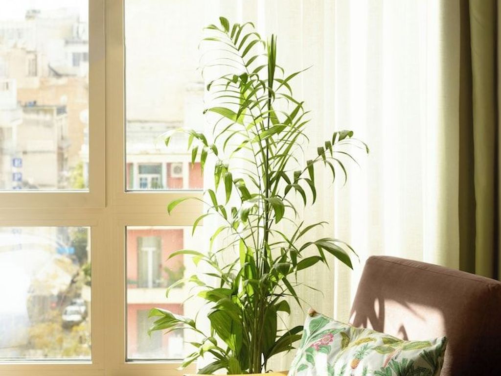 Casual Kubic Athens Hotel by Casual Hoteles Athens Hotel