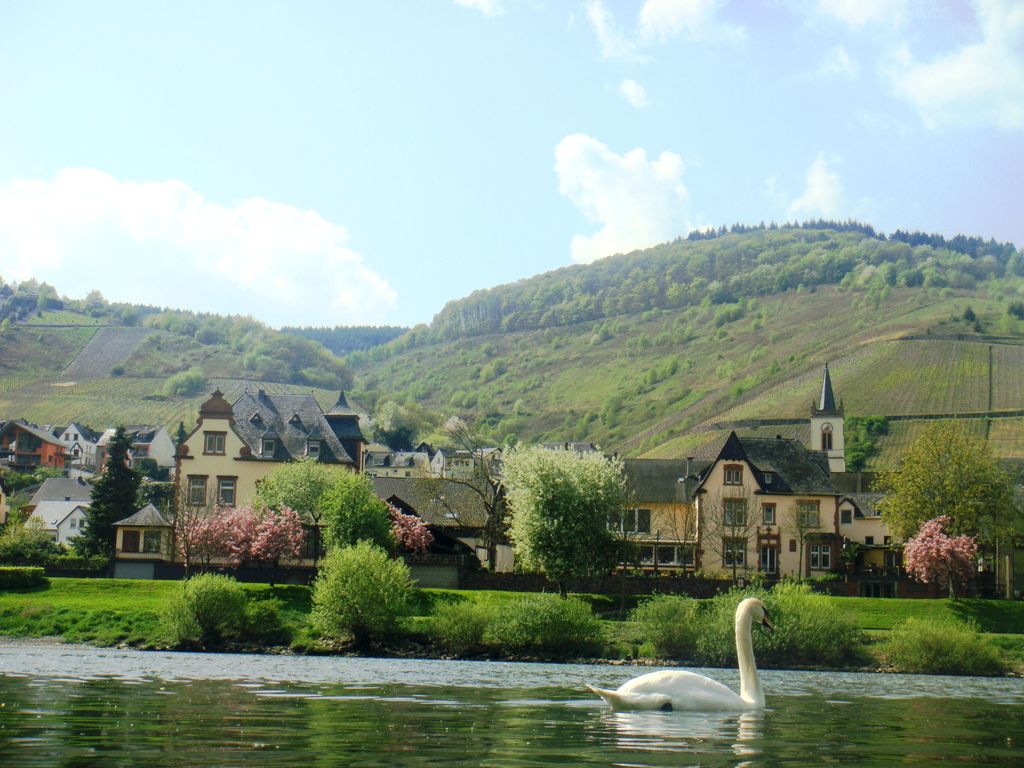 Villa Melsheimer Boutiquehotel