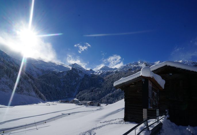 Bild 12