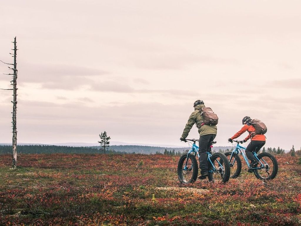 Lapland Hotels Pallas