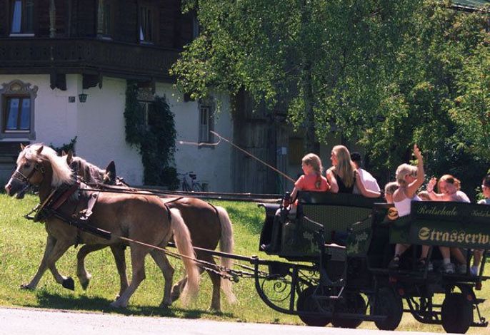 Bild 17