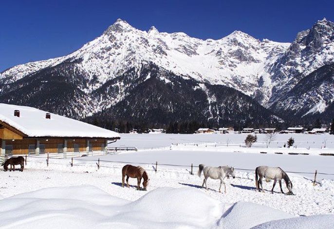 Bild 20