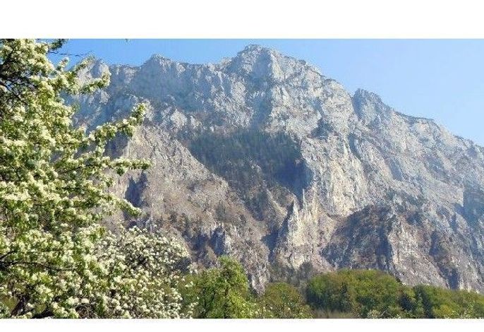 Bild 19