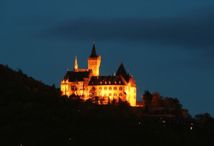Bild 14