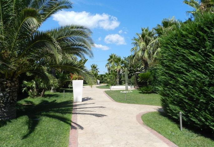 Bild 36