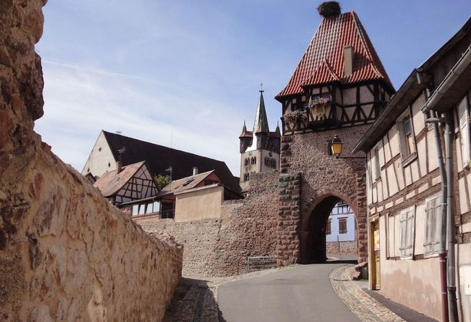 Bild 11
