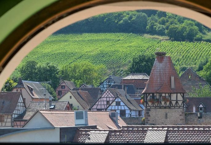 Bild 12