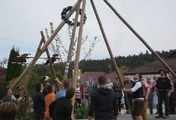 Bild 12