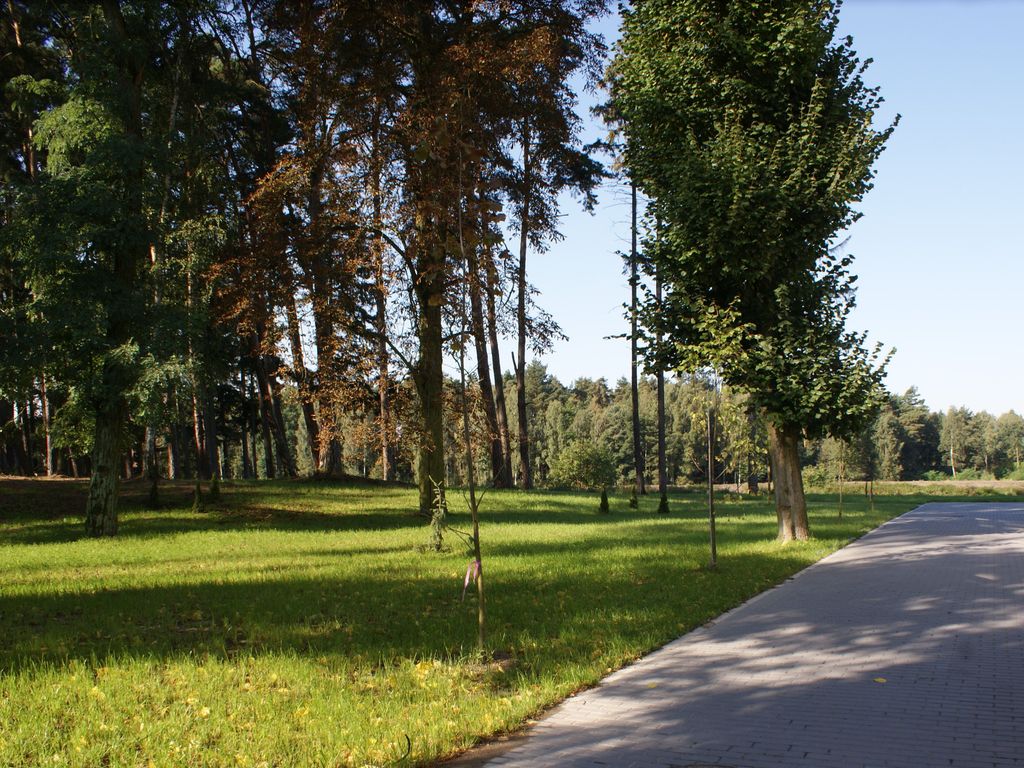 Kasor Resort & Spa