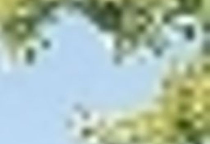 Bild 18