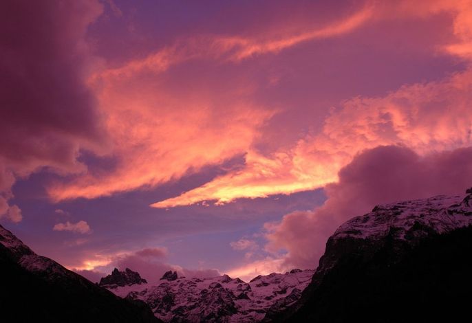 Bild 39