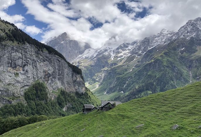 Bild 14