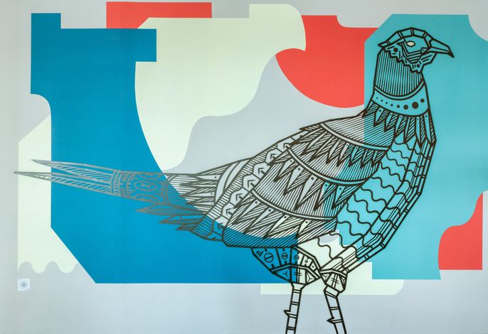 Bild 55