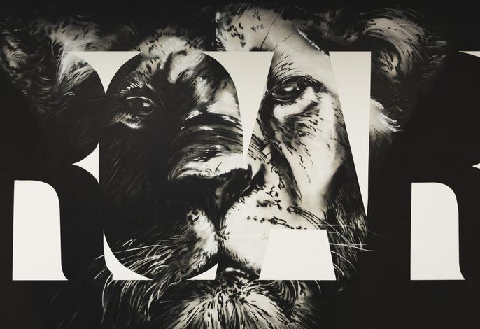Bild 38