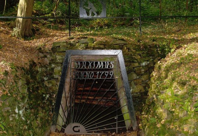 Bild 12