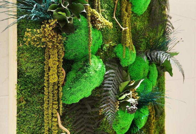 Bild 26