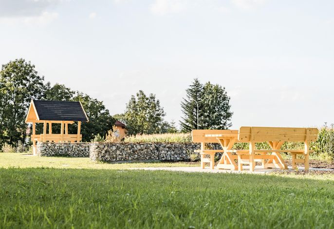 Bild 12
