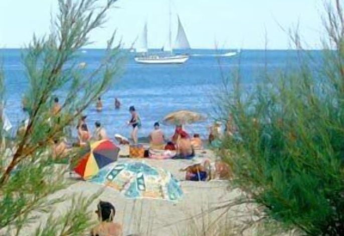 Bild 15