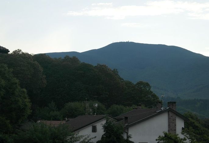 Bild 22