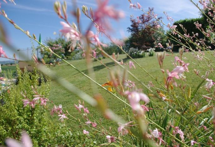 Bild 65