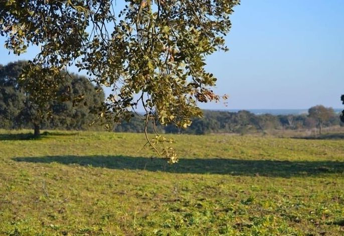 Bild 100