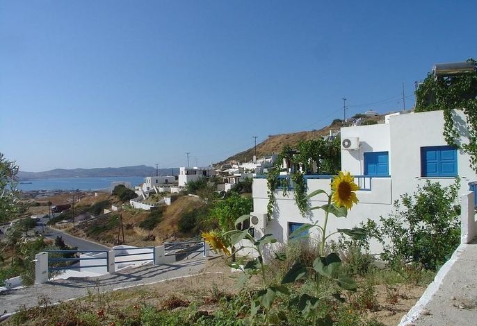 Hauptbild