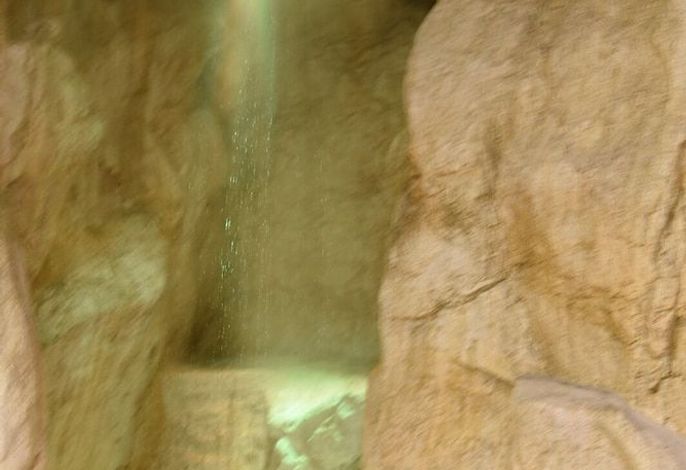 Bild 52